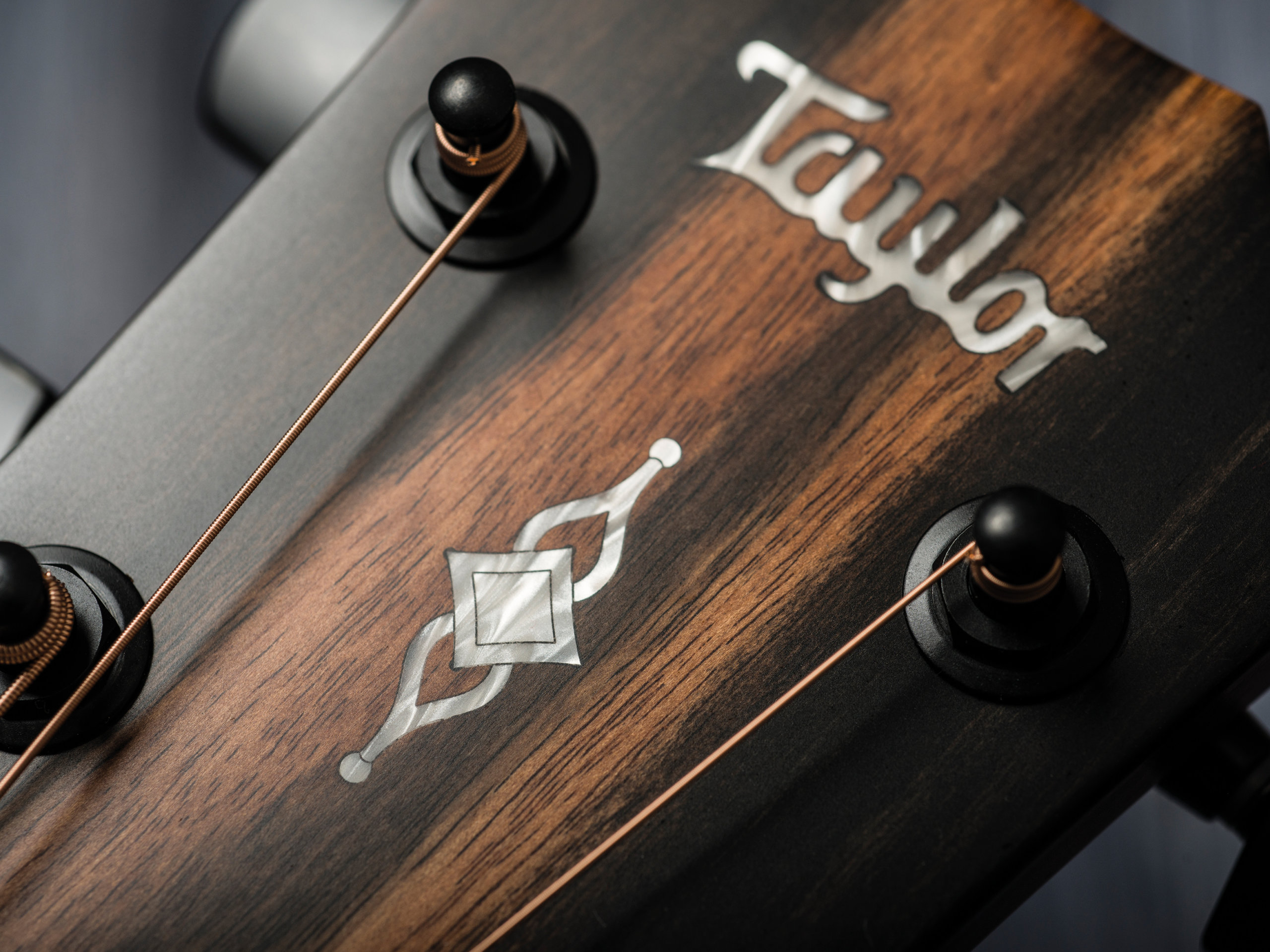 Taylor 322ce headstock close up