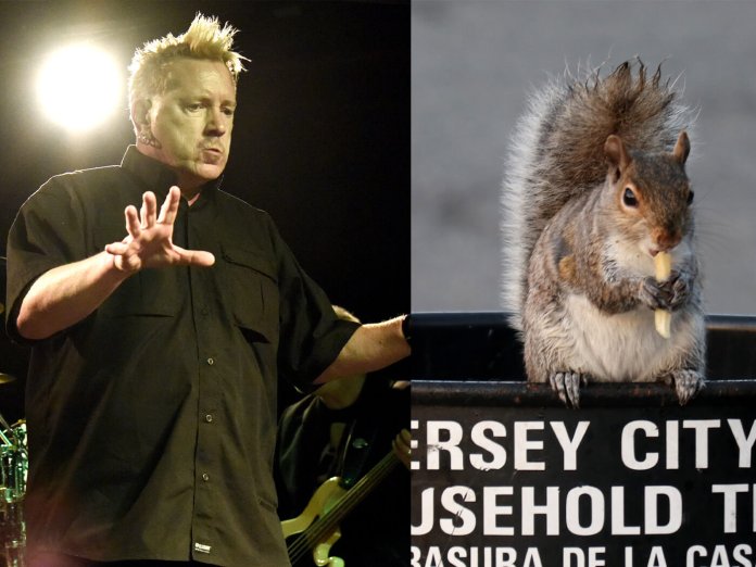 John Lydon and a Squirrel