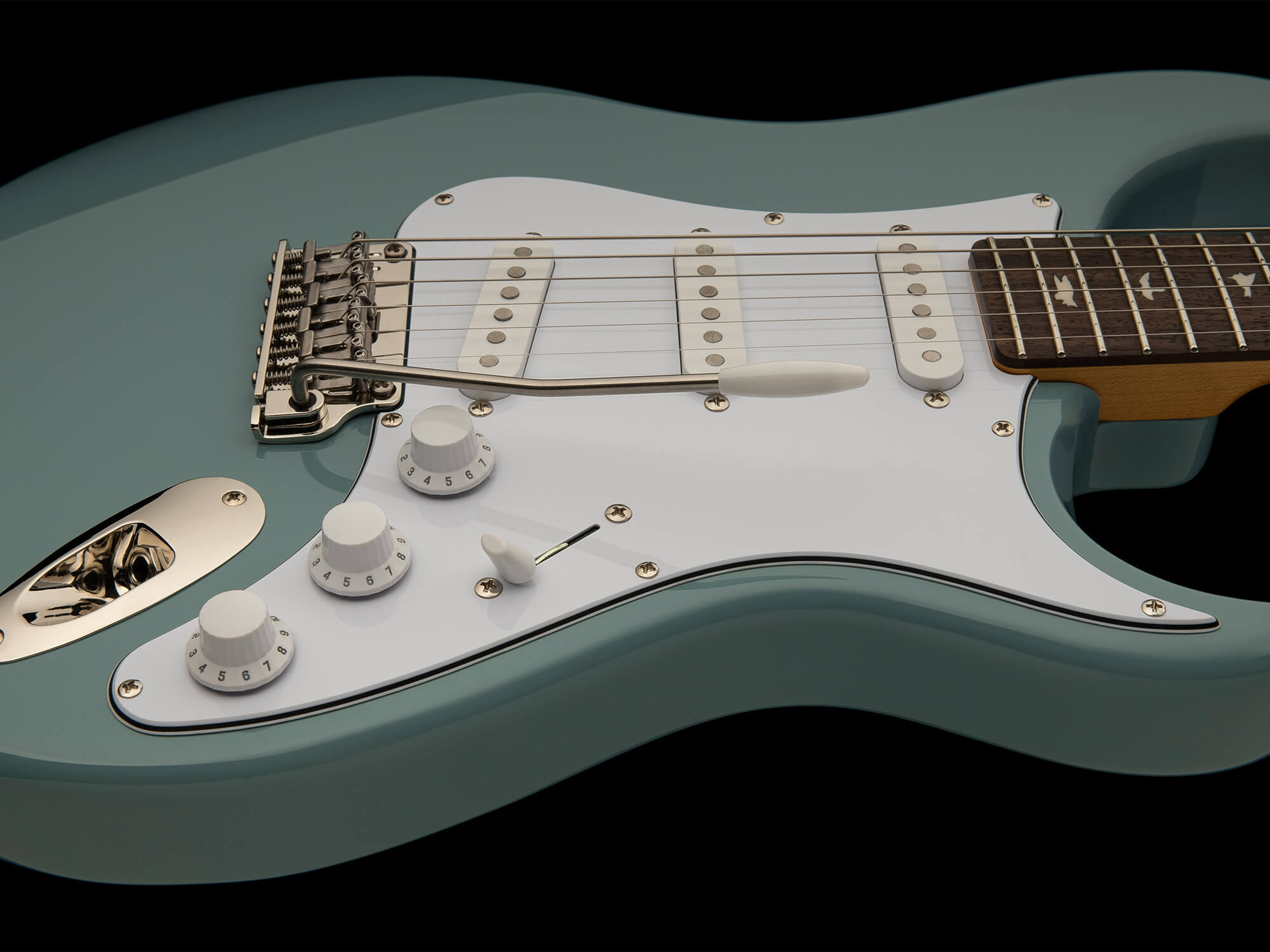 PRS SE Silver Sky The Word Is Out! The Fellowship Of Acoustics
