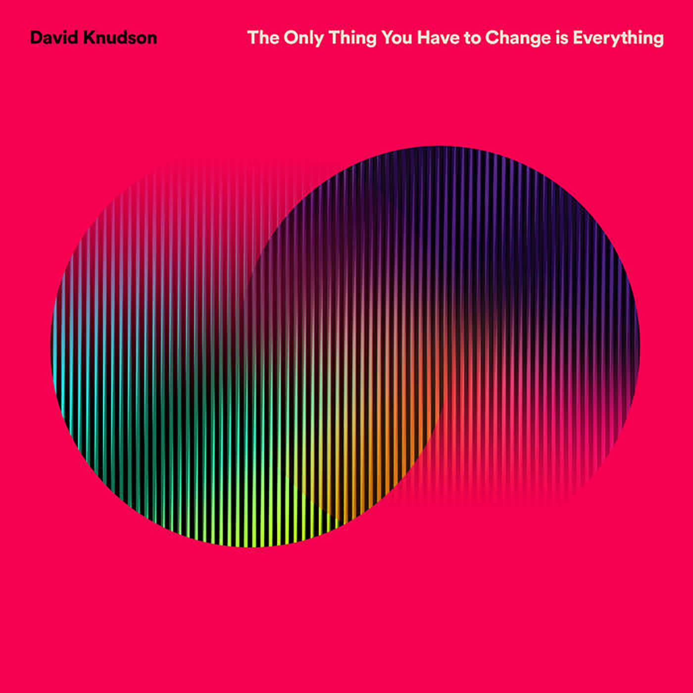David Knudson - The Only Thing You Have To Change Is Everything