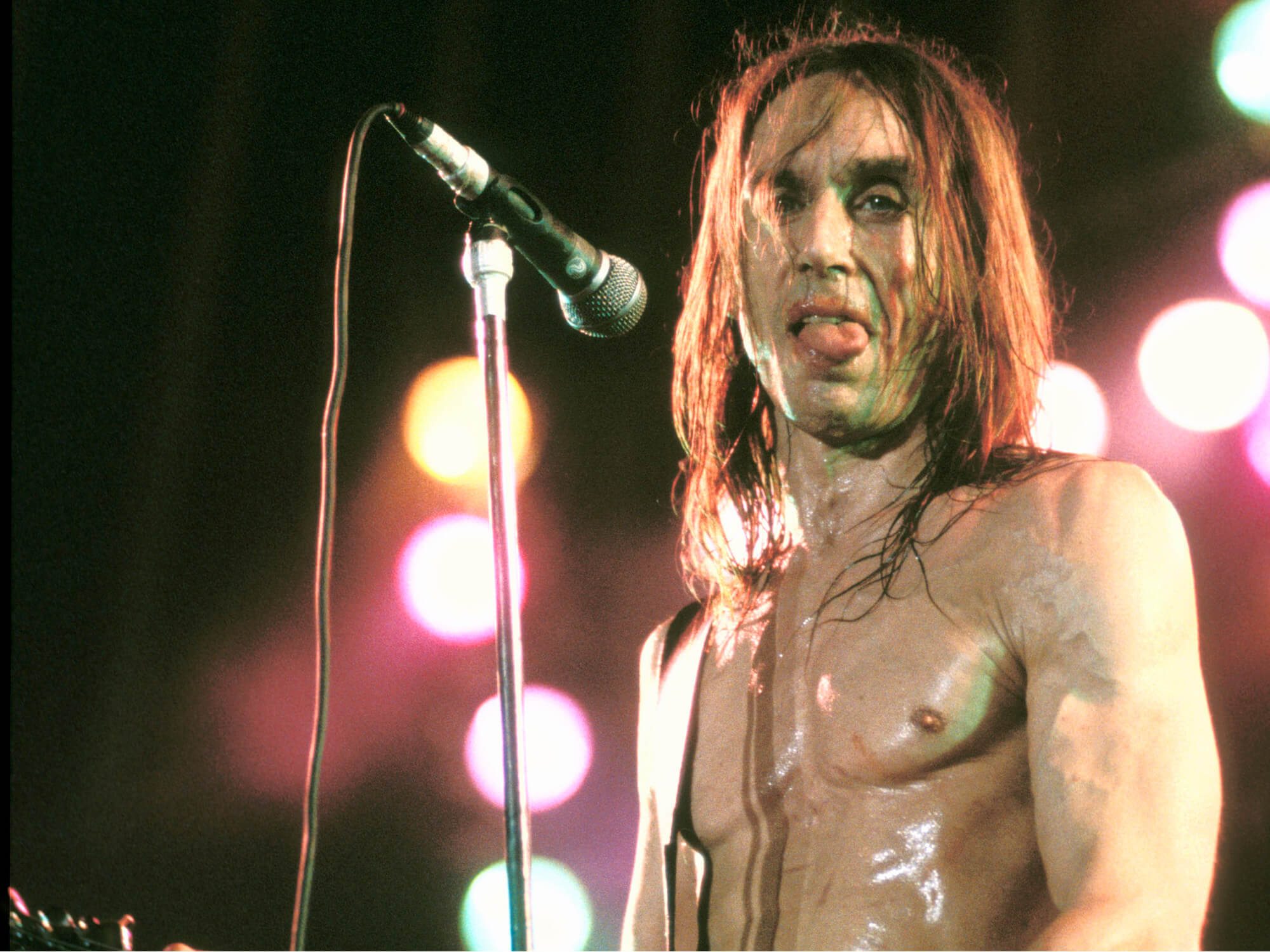 Iggy Pop performs live on stage at Lowlands Festival in Biddinghuizen, Netherlands on 29th August 1993