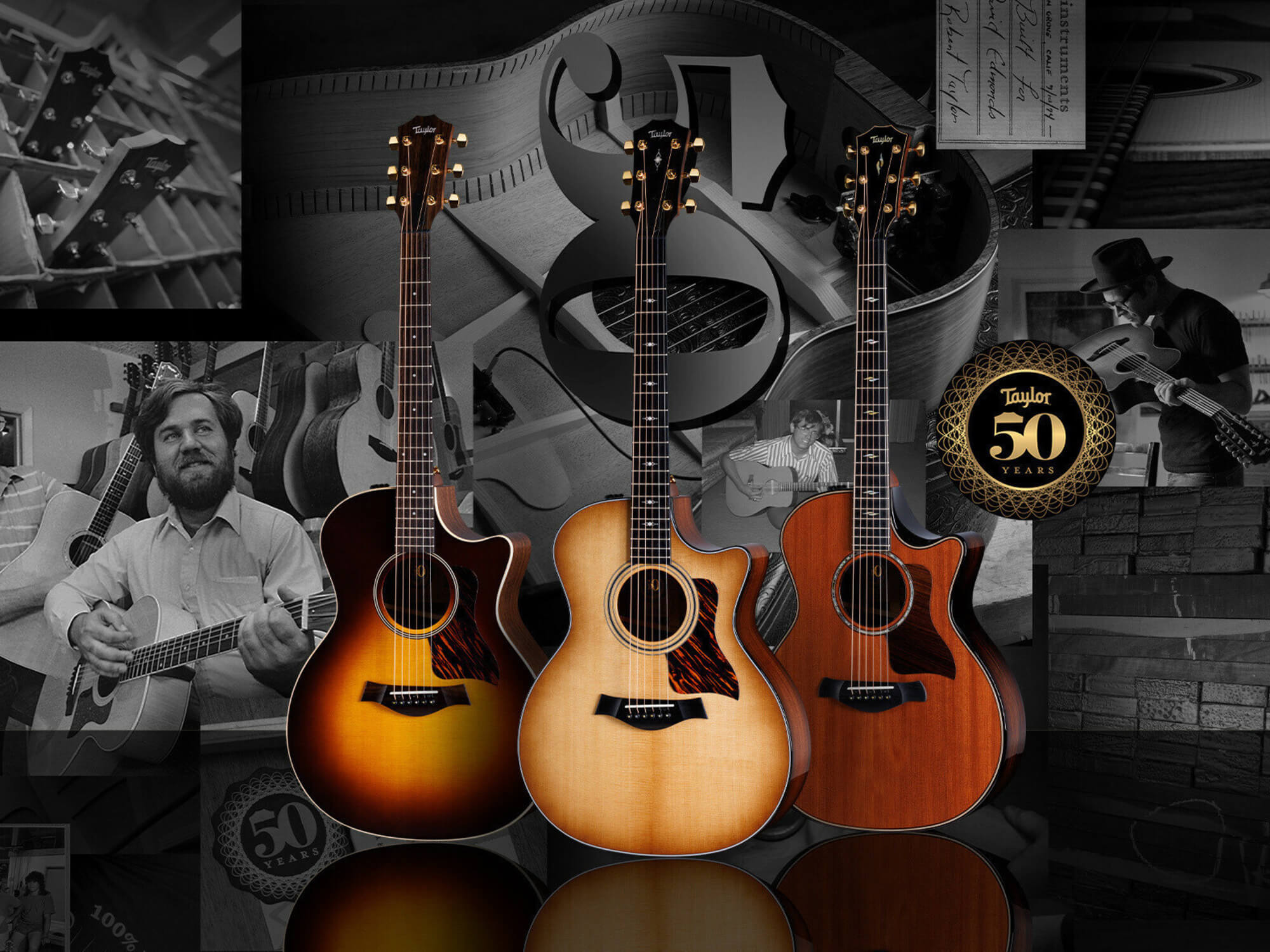Taylor 50th Anniversary guitars