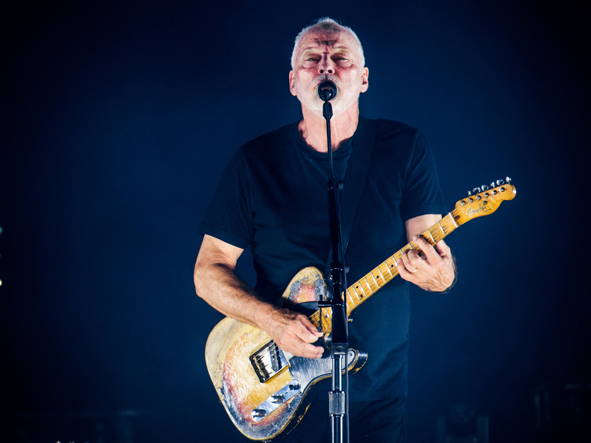 David Gilmour performs