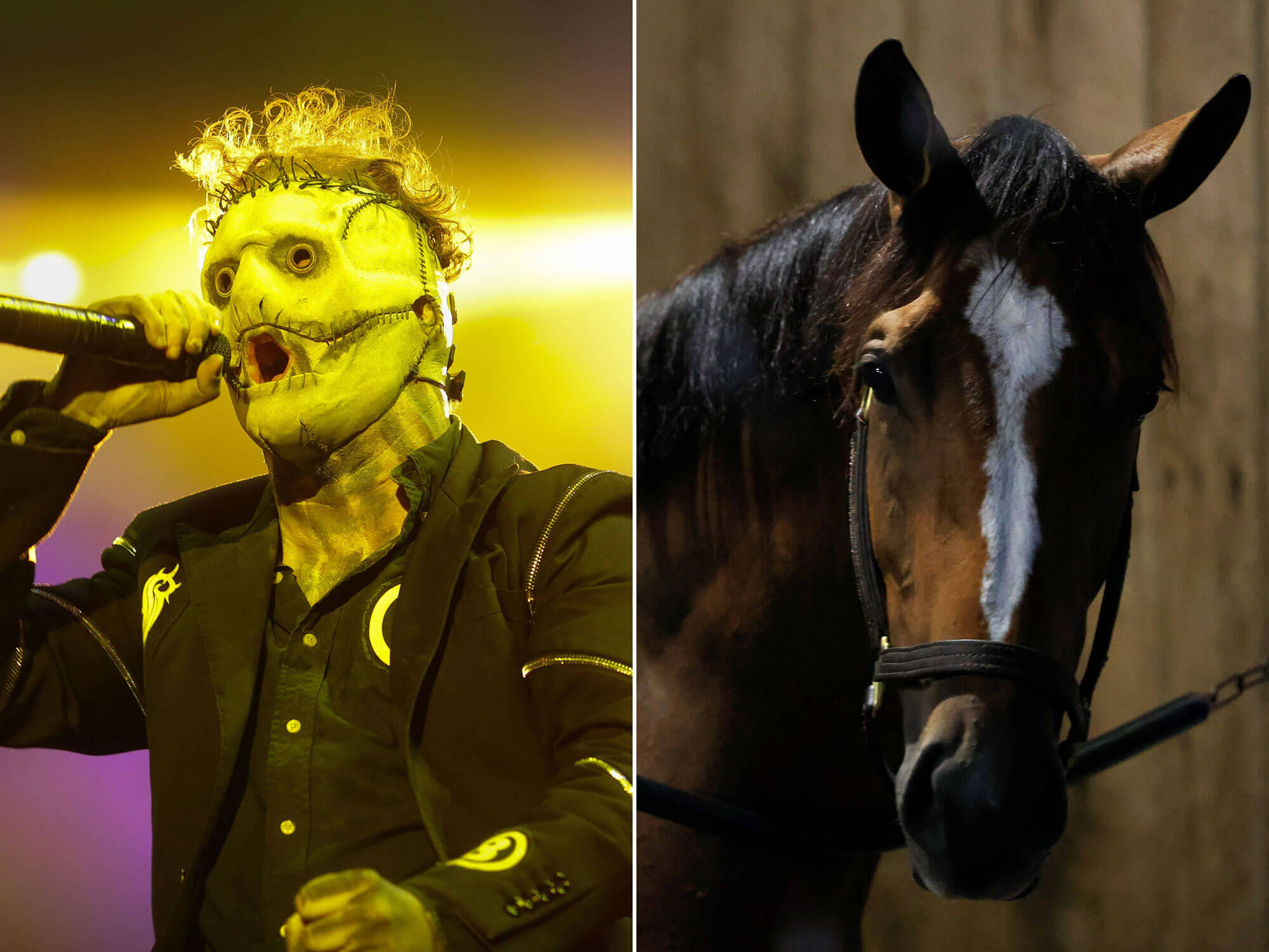 [L-R] Slipknot's Corey Taylor and a horse