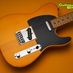 Fender-Standard-Telecaster-