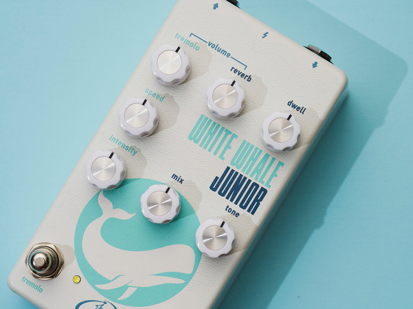 Crazy Tube Circuits White Whale Junior, photo by Adam Gasson
